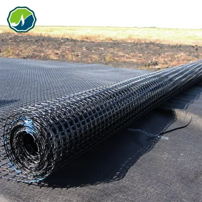 Factory Whosale Biaxial/Uniaxial Plastic Grid/Geogrid Price for Reinforcement