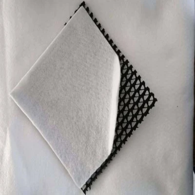 150/2-1600/2 Composite Networks Tri-Dimension Compound Geonet for Landfill Road Railway Drainage