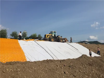 Textured and Perforated HDPE Plastic Geocell Manufacturer for Road Construction