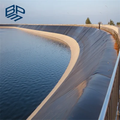 Waterproof HDPE Geomembrane Pond Liner for River Embankment Project in Singapore