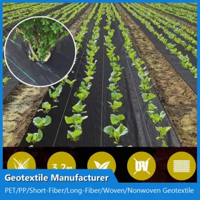 PP Polypropylene Filament Nonwoven/Pet Polyester Staple Fiber Nonwoven/Woven/Short-Fiber/Long Fiber Needle Punched Geotextile Manufacturer