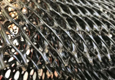 Drainage Composite Geonet