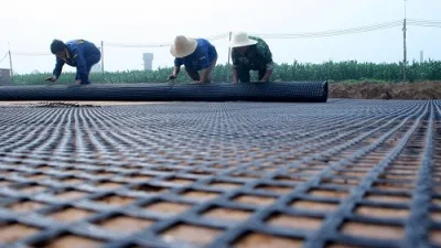 Geogrid Lowes for Reinforce Soil Stability