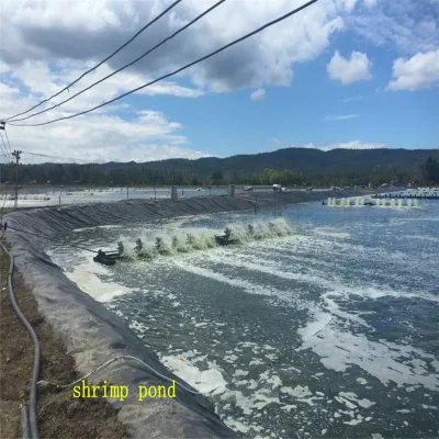 1.5mm 2mm HDPE Geomembrane in Manufacturer Price for Fish