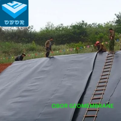 500 Microns HDPE Geomembrane