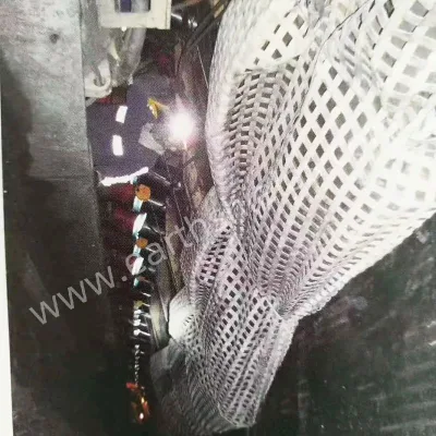 High Strength Tensile Polyester Woven Geogrids Pet Mining Geogrids