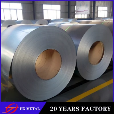 Prepainted Galvanized Steel Coil Factory/Sheet/PPGI/Dx51d/ China Iron Steel
