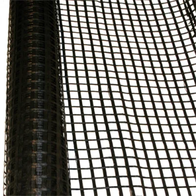 Plastic PP Biaxial Geogrid Fabric Factory Price for Stability Soil Road Railway Construction