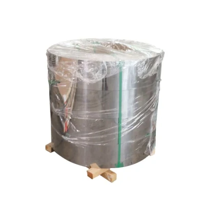 China Professional Supplier 309S 316 201 304 321 Pre Painted Galvanized Steel Strip Stainless Steel Coil