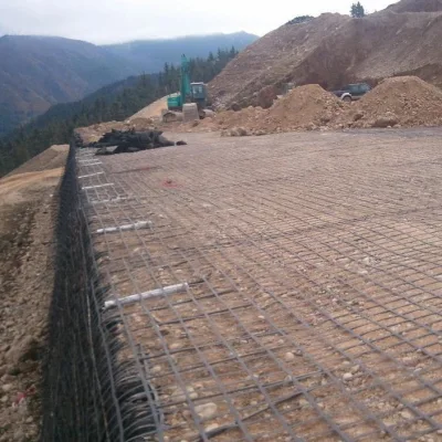 Retaining Walls / Slop Protect Steel Plastic Geogrid Triaxial/ Biaxial Composite Geogrids Price