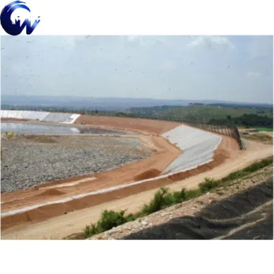 Global Best-Selling Pet Filament Needle Punched Non-Woven Geotextile for Retaining Wall Reinforcement