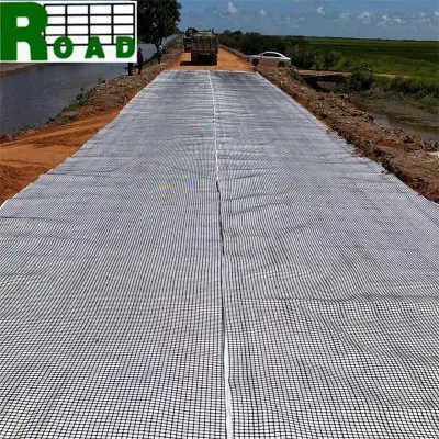 Slope Protection High Tensile Steel Plastic Composite Geogrid Biaxial Geogrid Price