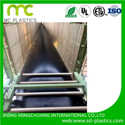 Polyethylene Waterproof Tank HDPE Liner Composite Geomembrane for Fish Pond Liners