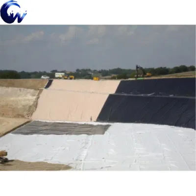 Global Best-Selling Pet Filament Needle Punched Non-Woven Geotextile for Retaining Wall Reinforcement