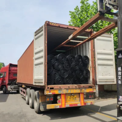 Retaining Walls / Slop Protect Steel Plastic Geogrid Triaxial/ Biaxial Composite Geogrids Price
