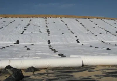 Customized 100g/Sqm - 800g/Sqm Geotextile for Environment Project, White/Green/Black Geotextile
