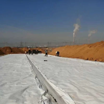 Polypropylene Short Fabric PP Non-Woven Geotextile Filtration Drainage Separation for Contruction Materials