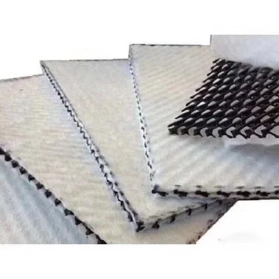 150/2-1600/2 Composite Networks Tri-Dimension Compound Geonet for Landfill Road Railway Drainage