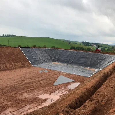 High Density Polyethylene Geomembrane for Wastewater Treatment