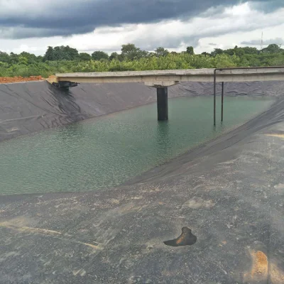 0.3mm, 0.5mm 0.75mm 1mm HDPE Virginal Raw Material Low Price Pond Liner Dam Liner Black Color Geo HDPE Geomembrane Sheet