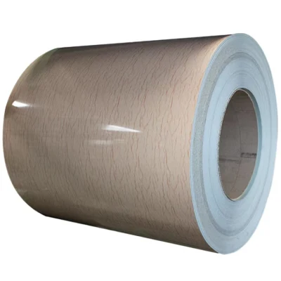 China Supplier 0.35mm Steel Coil Prepainted Galvanized Dx51d Cold Rolled Galvanized Steel Sheet Coil Metal PPGI Steel Coil