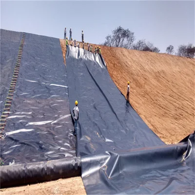 Harga Geomembrane HDPE Liner Sheet for Waterproofing Lining of Dam