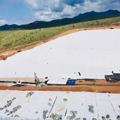 Best Seller PP/Pet Geotextile Accept OEM Customized