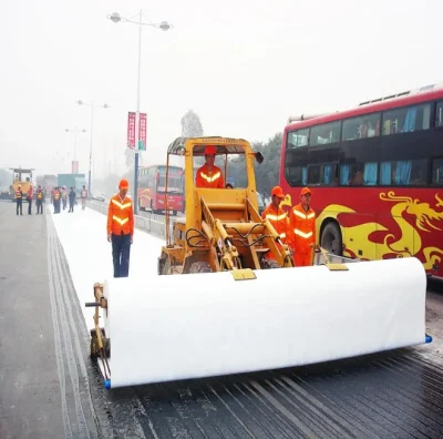 Separation Drainage Filtration Reinforcement Geotextile Long Fiber Non-Woven Filter Cloth Tunnel Environmental Projects Geotextile