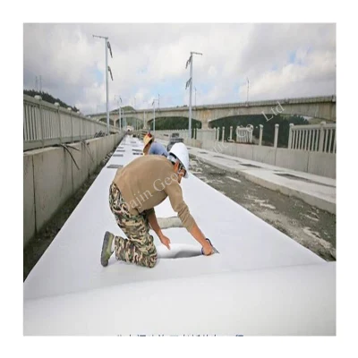 300g Fabric Geotextile for Soil Stabilization