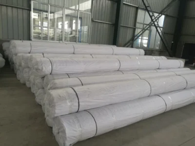 China Factory Price HDPE PP Plastic Welding Geogrid for Sale
