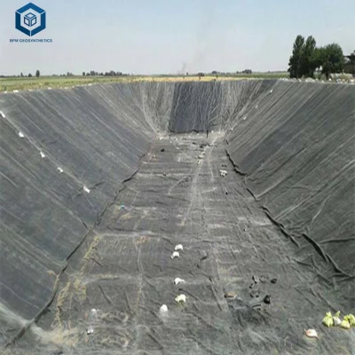 CE ISO Certification Reservoir Liner Geomembrane for Artificial Lake in Kenya