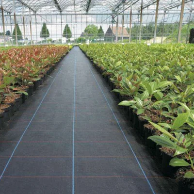 Geotextiles for Erosion Control Geo Fabric for Driveway Weed Mat for Landscaping
