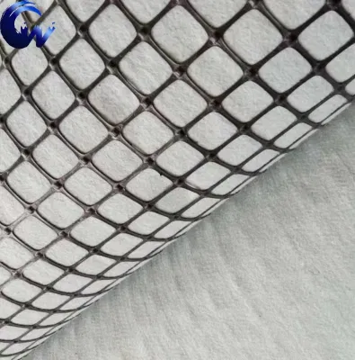 New Materials Geogrid Composite Geotextile for Road Construction