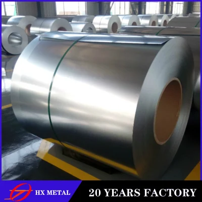 Prepainted Galvanized Steel Coil Factory/Sheet/PPGI/Dx51d/ China Iron Steel