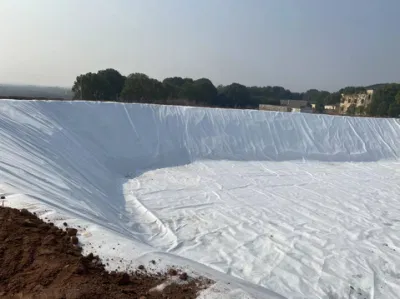PP Geotextile Fabric for Flood Protection Erosion Control