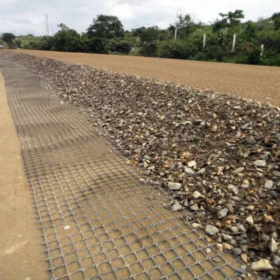 Landslide Geogrid Polyester Mining Mesh Geo Grid for Consolidation