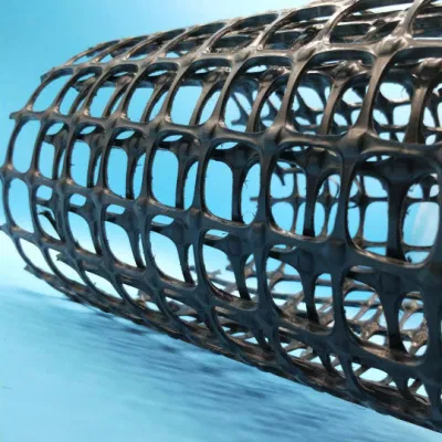 Retaining Walls / Slop Protect Steel Plastic Geogrid Triaxial/ Biaxial Composite Geogrids Price
