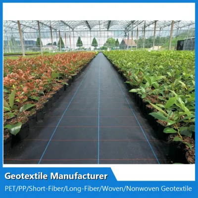 PP Polypropylene Filament Nonwoven/Pet Polyester Staple Fiber Nonwoven/Woven/Short-Fiber/Long Fiber Needle Punched Geotextile Manufacturer
