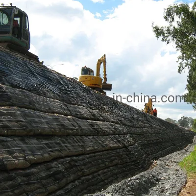 Factory Price Plastic Polypropylene PP Biaxial Uniaxial Geogrids for Construction