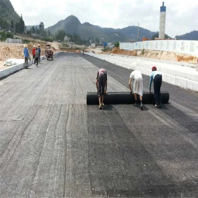Chuangwan High Quality New Marerial Fiberglass Geogrid Manufacturer