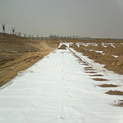 China Factory Price China Non-Woven Geotextiles Factory Fabrics100g-800GM2 Customized Cheap Geotextile