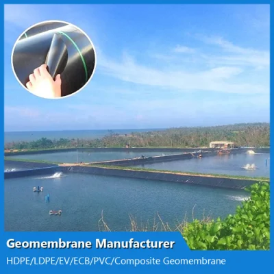 Customized HDPE/LDPE/PE/EV/Ecb/PVC Textured/Composite Geomembrane Manufacturer for Aquaculture/Fish Farm/Shrimp/Pond/Dam/Landfill/Mining/Salt/Tailing Liner