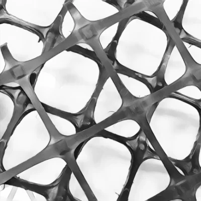 20kn Grid Mesh Biaxial PP Plastic Geogrid for Road Reinforcement