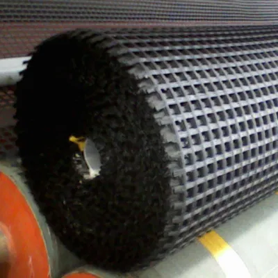 Plastic PP Unidirectional Geogrid Bidirectional Geogrid Factory Price PP/Pet/EVA/HDPE/LDPE/ISO
