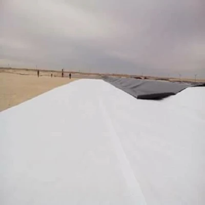 Polyester Continuous Filament Non Woven Geotextile for Soil separation