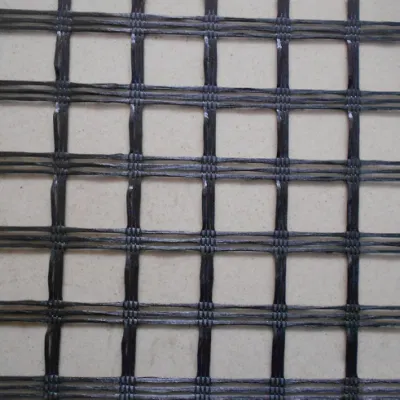 Plastic PP Unidirectional Geogrid Bidirectional Geogrid Factory Price PP/Pet/EVA/HDPE/LDPE/ISO