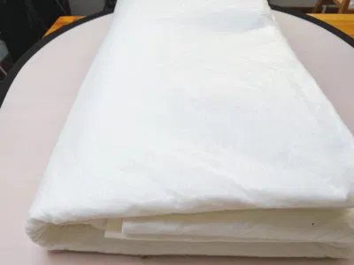 One or Two Sides Thermal Bond Treatment Polyester Continuous Filament Needlepunched Nonwoven Geotextile Fabrics