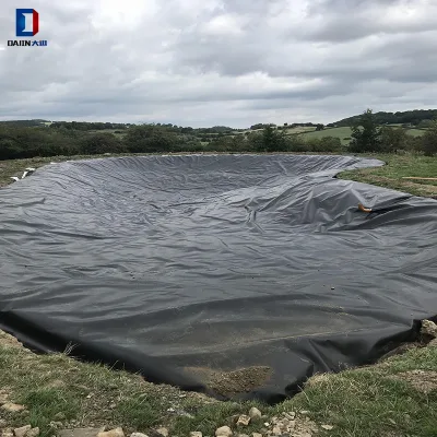 ASTM Anti UV 1.5mm HDPE Seepage Control Geomembrane Liner