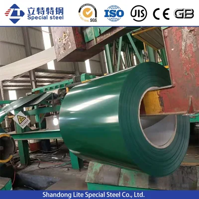 PPGI CGCC SPCC SGCC DC51D DC52D DC53D DC54D Pre-Painted Galvanized Steel Coil for Manufacturer