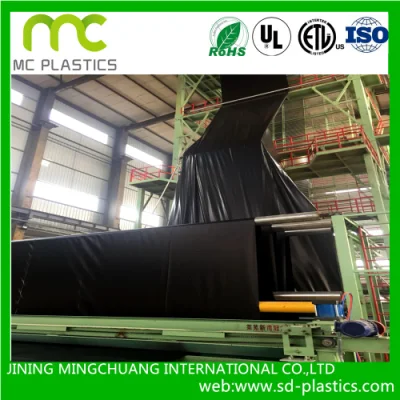 PE Geomembrance with Recyclable Raw Material Used for Waste Land/Dump